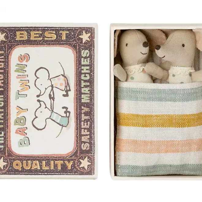 Mice Baby Twins in Matchbox