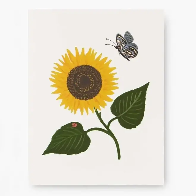 Card Botanical Blossom Sunflower