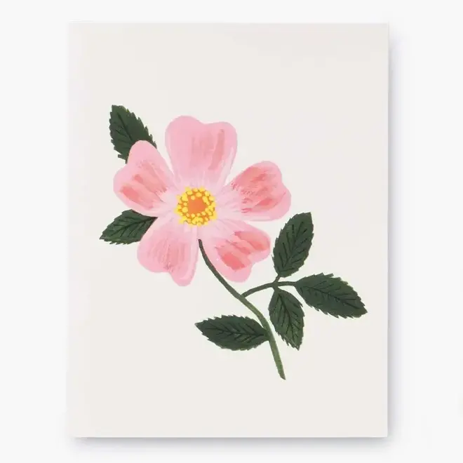 Card Botanical Blossom Pink