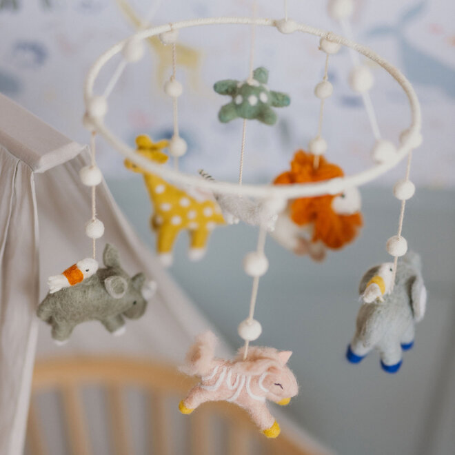 Classic Mobile Into the Wild