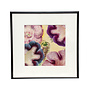 Framed Fabric Varietes de Gloxinia