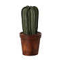 Flower Pot with Cactus Miniature