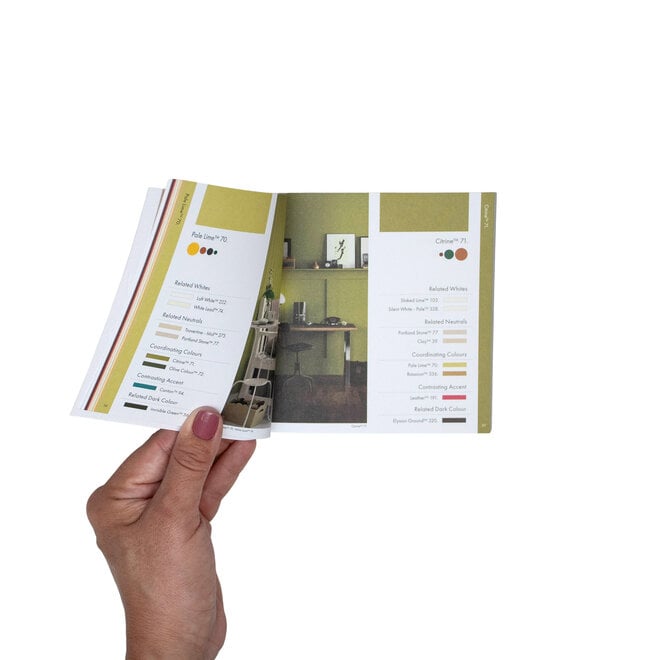 Little Book of Color Little Greene