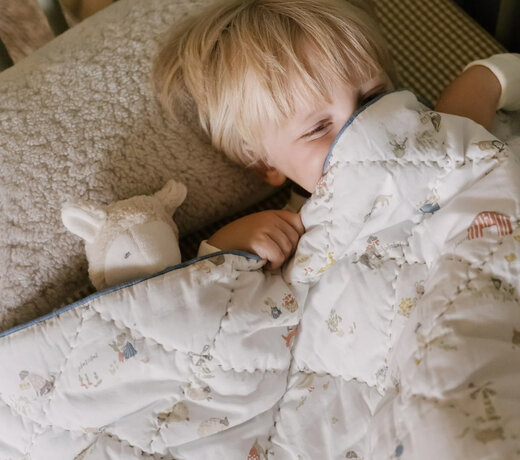Blankets, Quilts & Towels