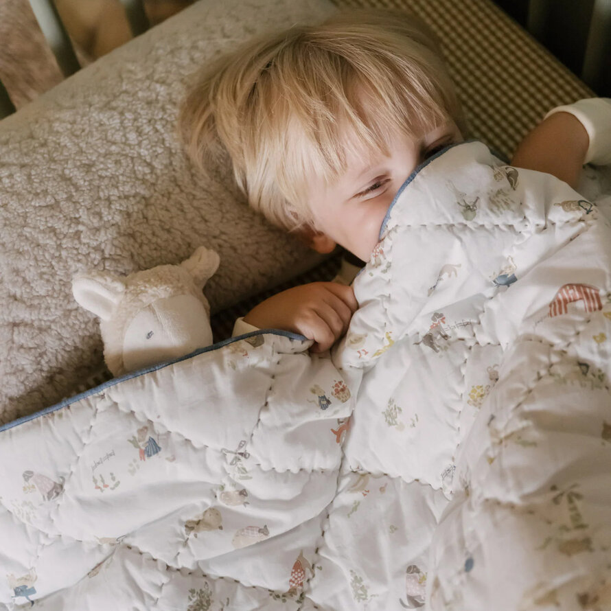 Blankets, Quilts & Towels