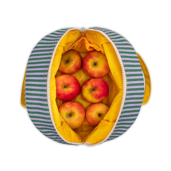 Zipper Lunch Bag Candy Stripe Grass & Lavender