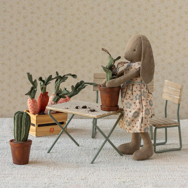 Flower Pot with Cactus Miniature
