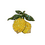 Brooch Pin Amalfi Lemons