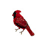 Brooch Pin Common Cardinal