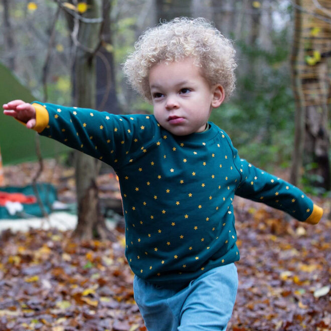 Sweatshirt Raglan Golden Stars Blue