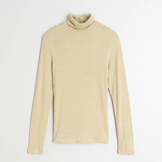 Ribbed T-Shirt Turtleneck Sage