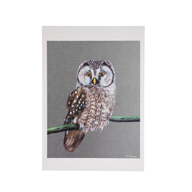 Card Owl