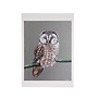 Card Owl