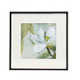 Framed Fabric Magnolia Flower