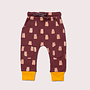 Joggers Brown Bears
