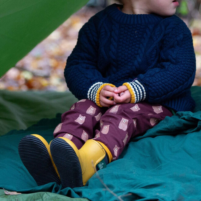 Joggers Brown Bears