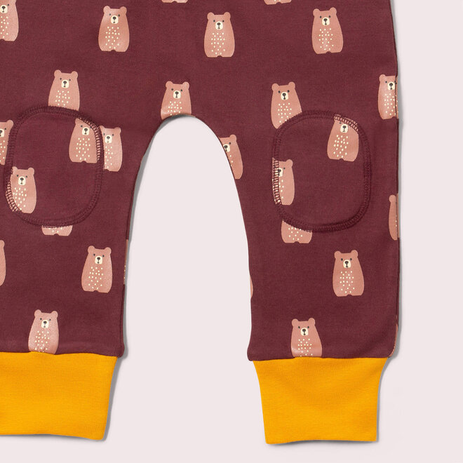 Joggers Brown Bears