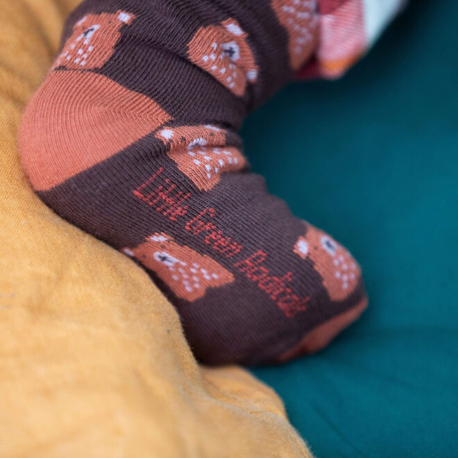 Ankle Socks Teddy Bear Multi Set of 3 in Box