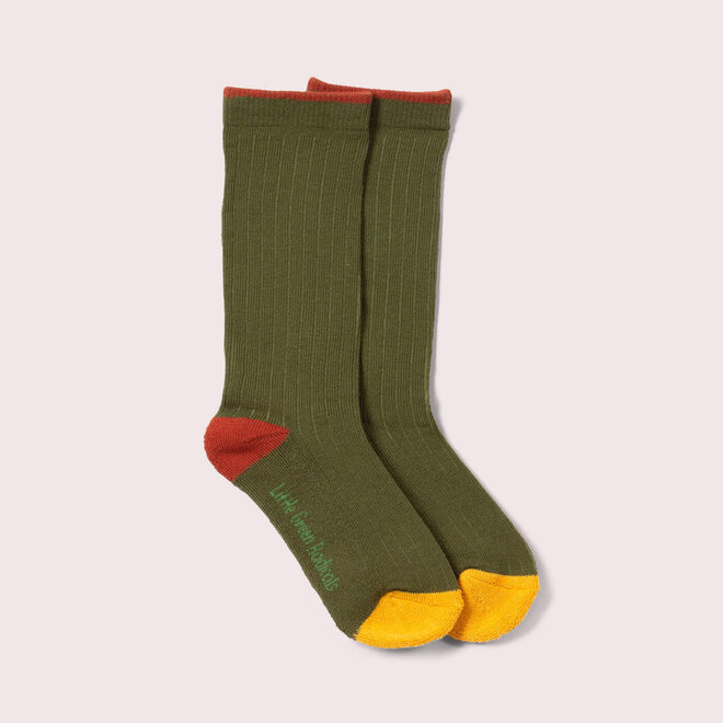 Ankle Socks Teddy Bear Multi Set of 5 0-6M