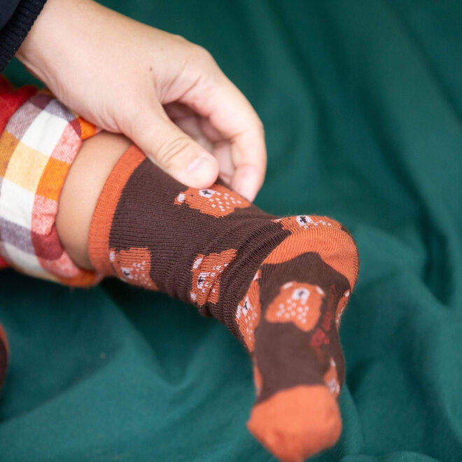 Ankle Socks Teddy Bear Multi Set of 5 0-6M