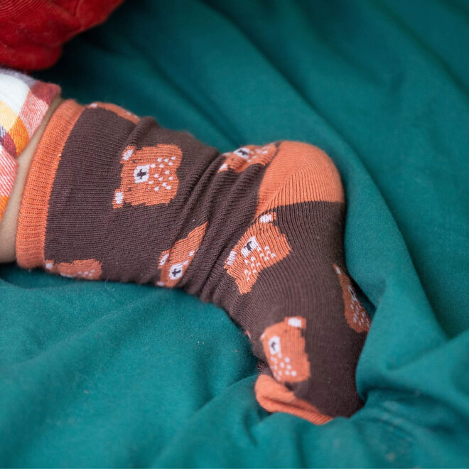 Ankle Socks Teddy Bear Multi Set of 5 0-6M