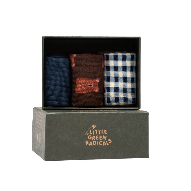 Ankle Socks Teddy Bear Multi Set of 3 in Box