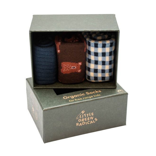 Ankle Socks Teddy Bear Multi Set of 3 in Box