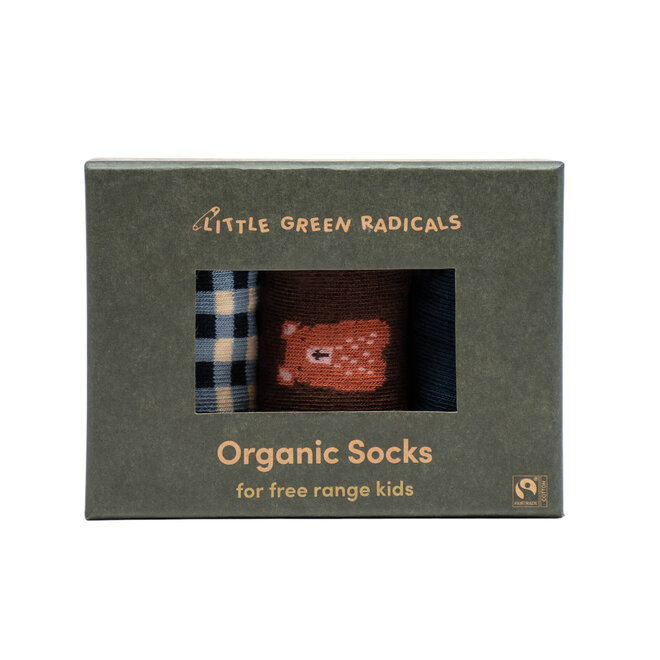 Ankle Socks Teddy Bear Multi Set of 3 in Box