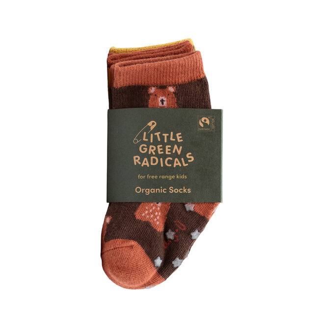 Ankle Socks Teddy Bear Multi Set of 5 0-6M
