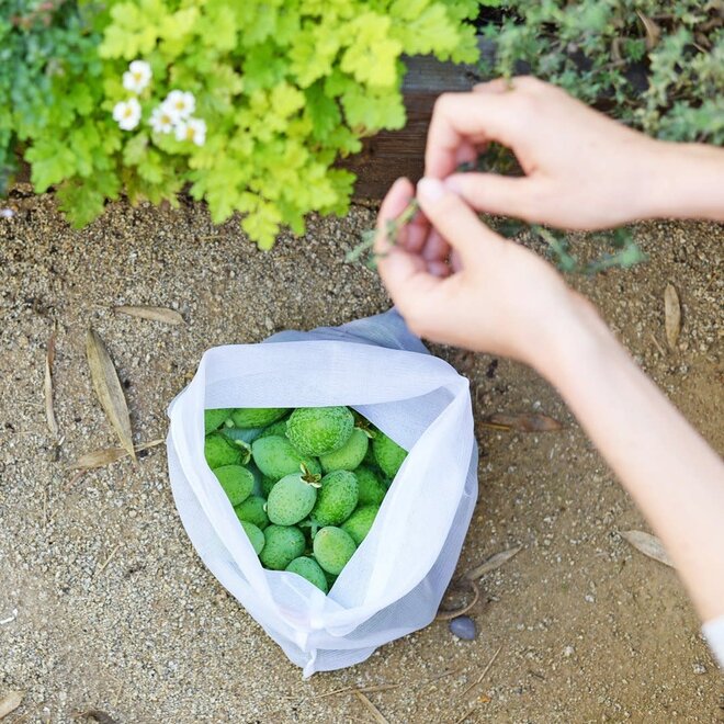 Produce Bags