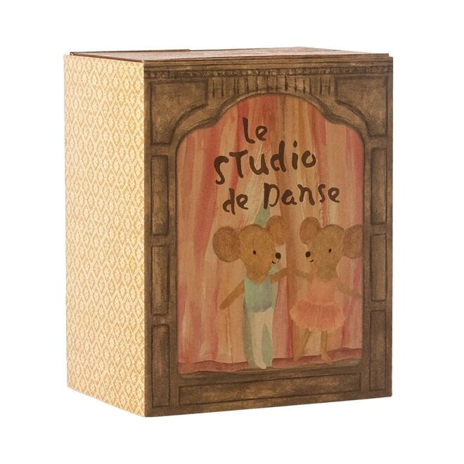 Mice Little Sister & Brother Ballet in Dance Studio