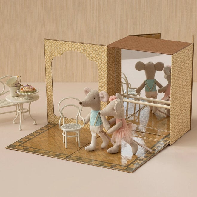 Mice Little Sister & Brother Ballet in Dance Studio