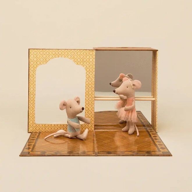 Mice Little Sister & Brother Ballet in Dance Studio
