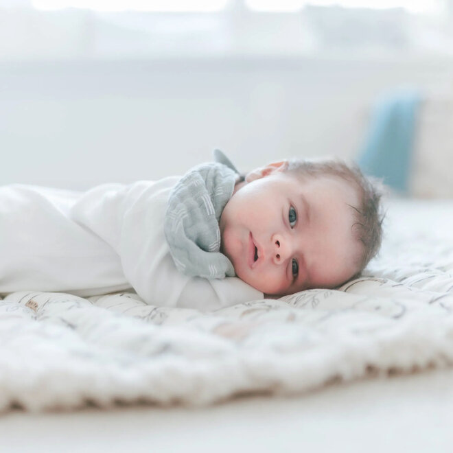 Muslin Bib Ezra Woodland Set of 3