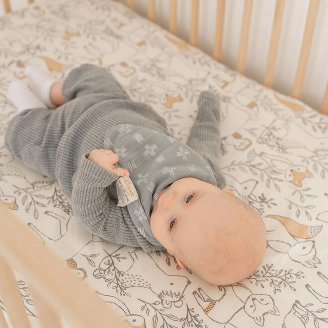 Muslin Bib Ezra Woodland Set of 3