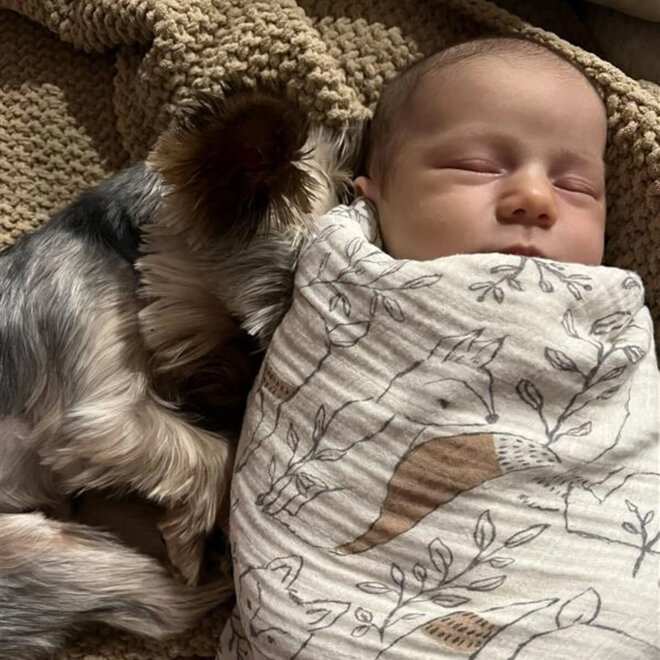 Swaddle Blanket Ezra Woodland Set of 2