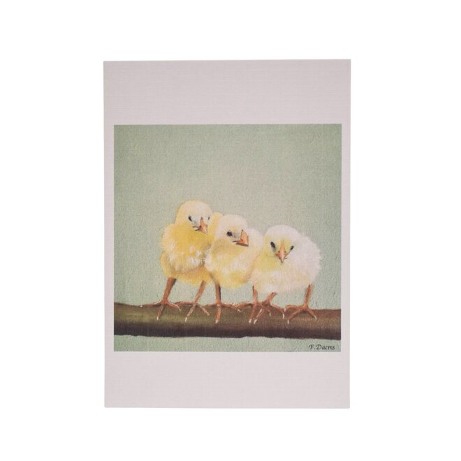 Card 3 Chicks