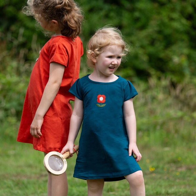 Tunic Dress Boat Neck Blue