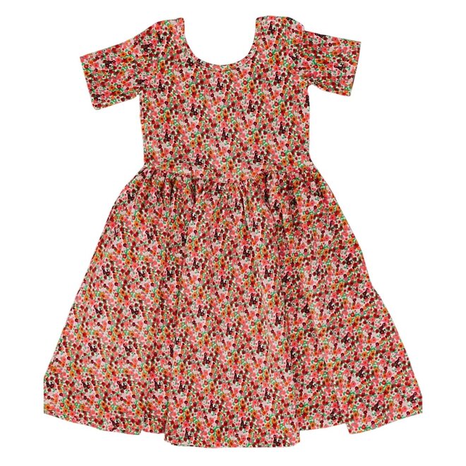 Dress Twirl in Posy Pop