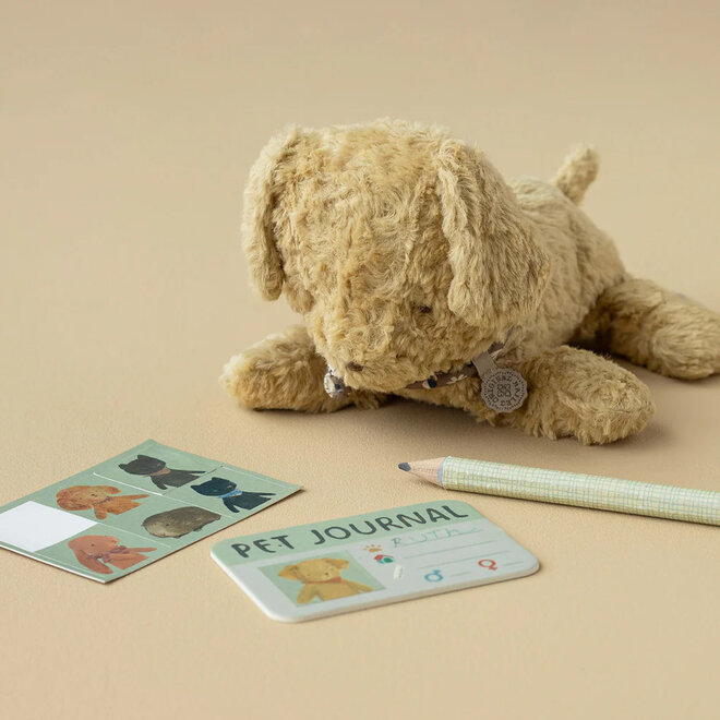 Pet Carrier Dusty Blue