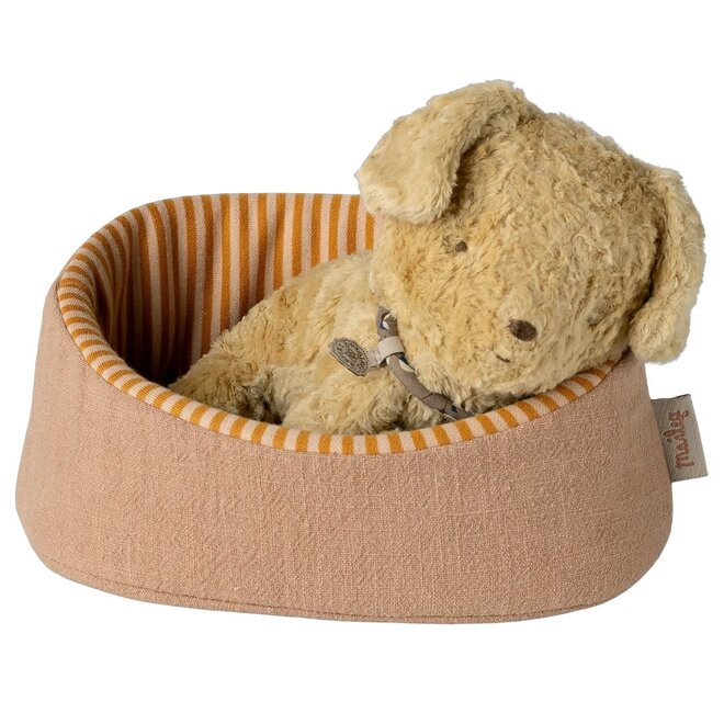 Puppy Small Soft Sand