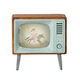 Mouse Television