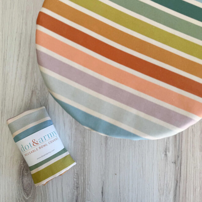 Reusable Bowl Cover Beach Chair Stripes