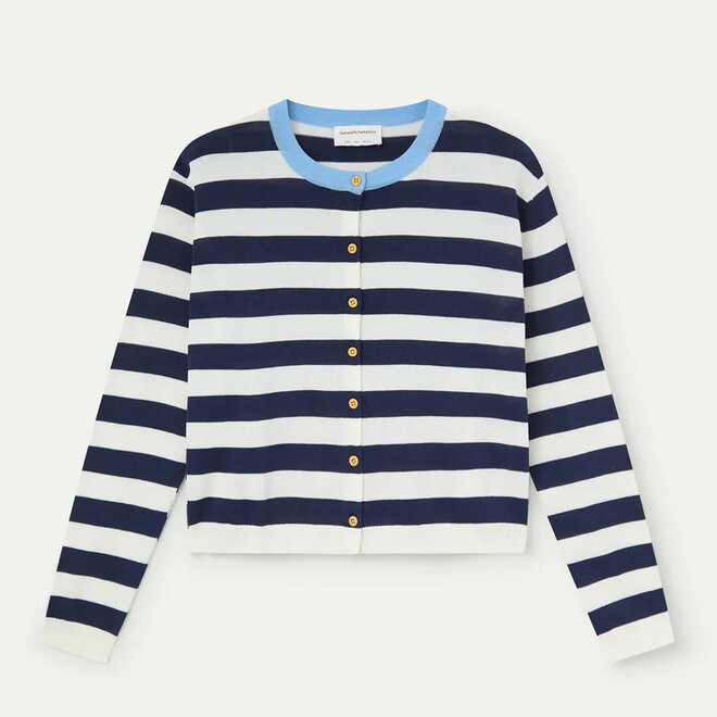 Cardigan Stripes Navy & White