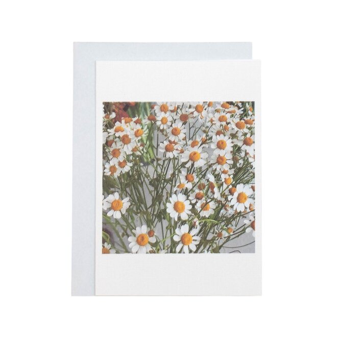 Card Daisies