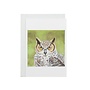 Card Owl