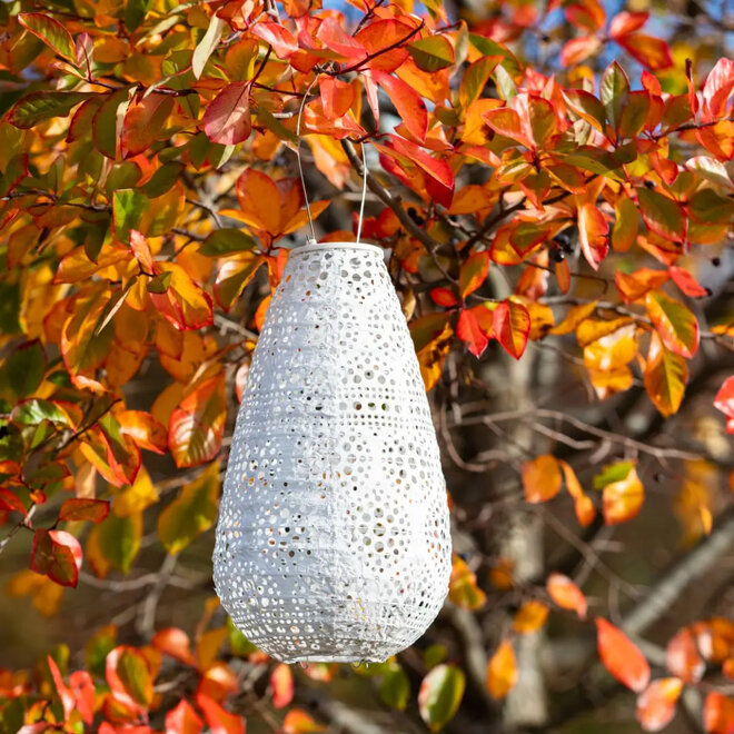 Solar Lantern Stella Blossom Teardrop Pearl 14"