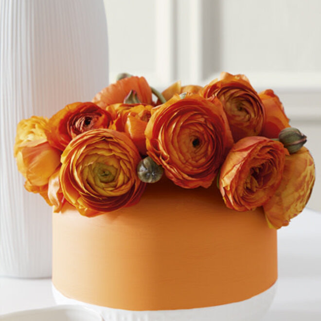 Marigold TM 209