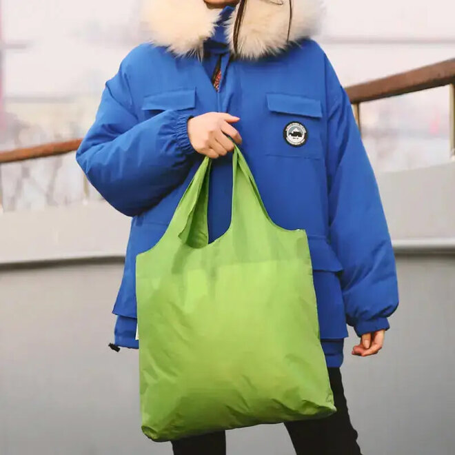 Reusable Nylon Bag Green