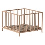 My Playpen Rose